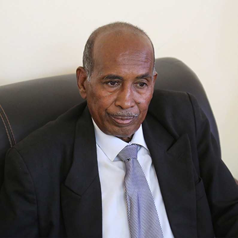 بروفيسور حاتم محمد احمد